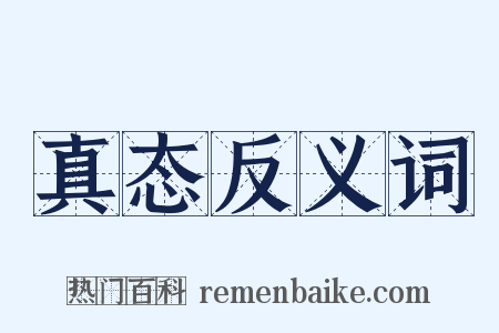 真态反义词是什么意思的图片